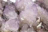 Sparkling Cactus Amethyst Crystal Cluster - South Africa #337110-8